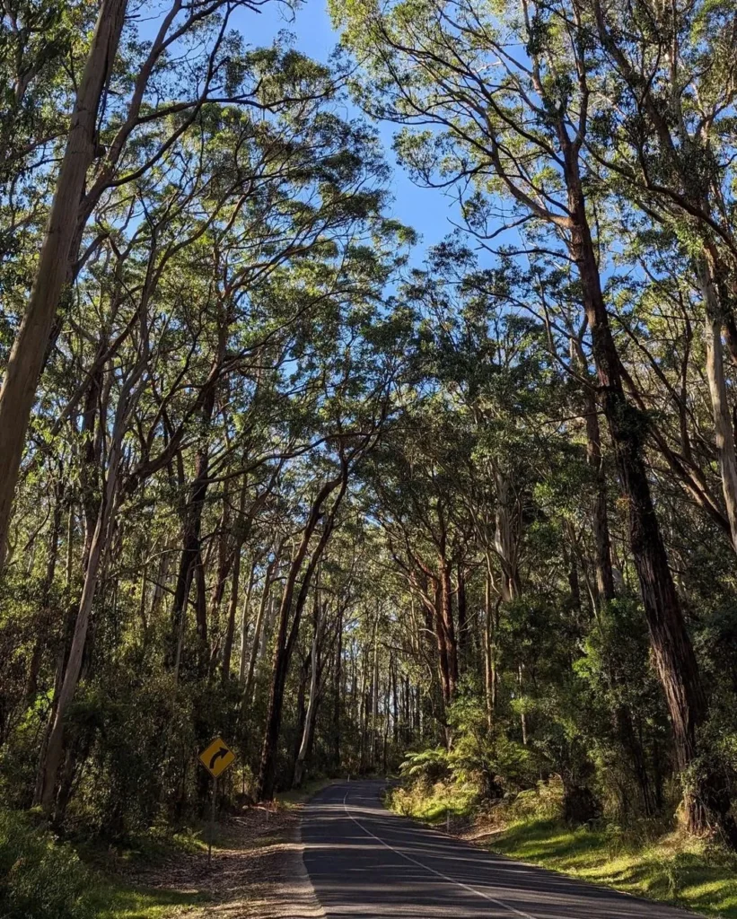 Cape Otway