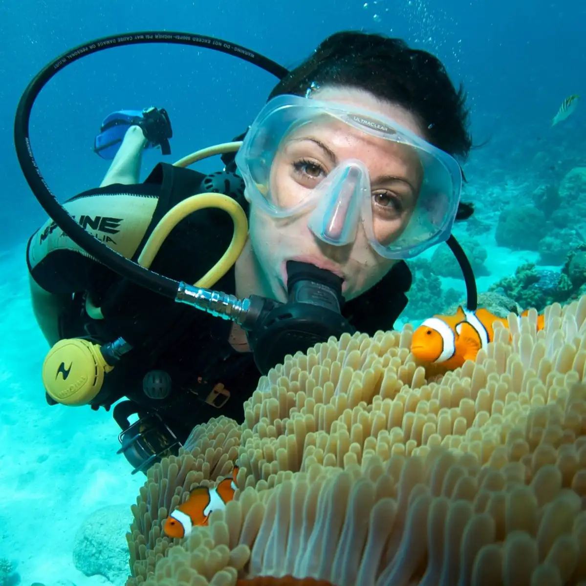 Introductory Scuba vs. Snorkelling