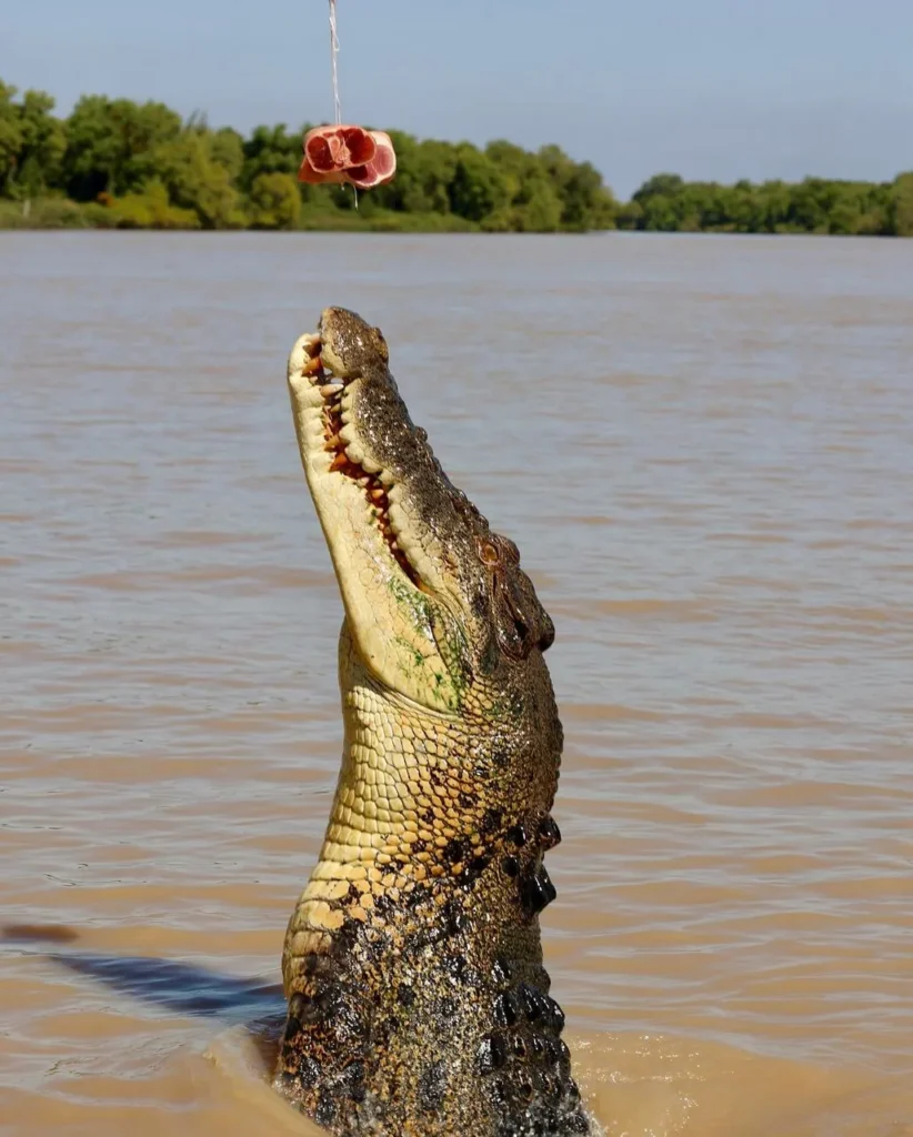 Is the Jumping Crocodile Cruise Suitable for Young Children