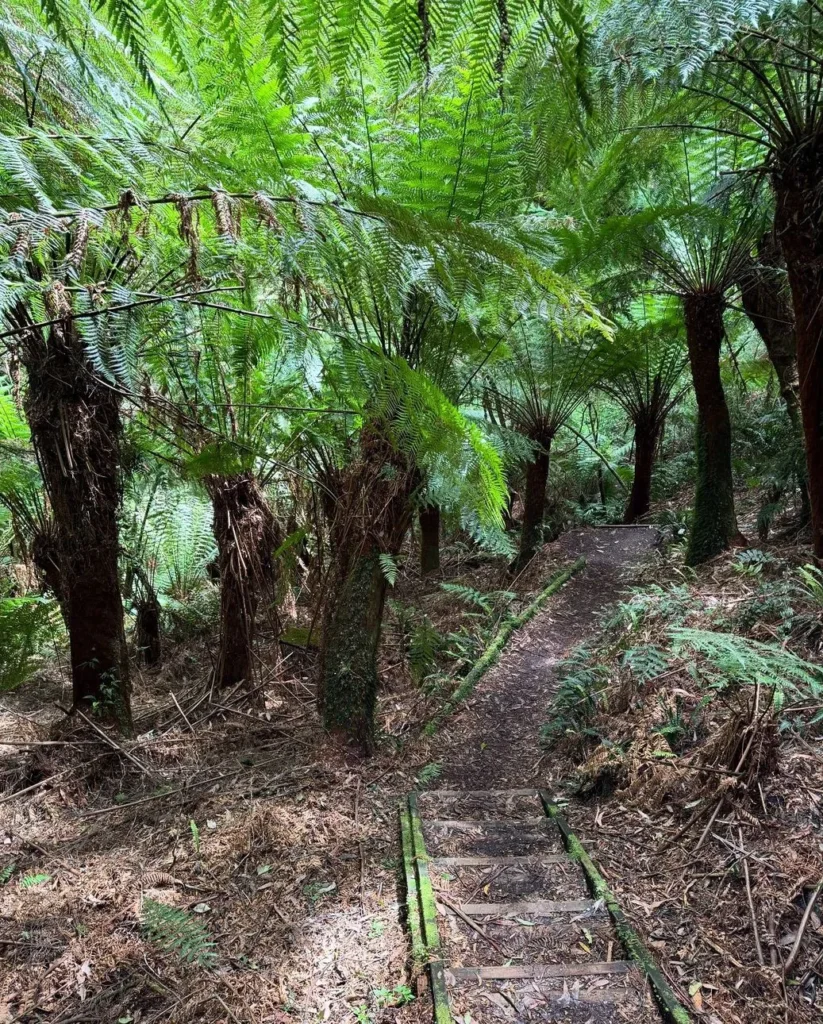 Otway National Park