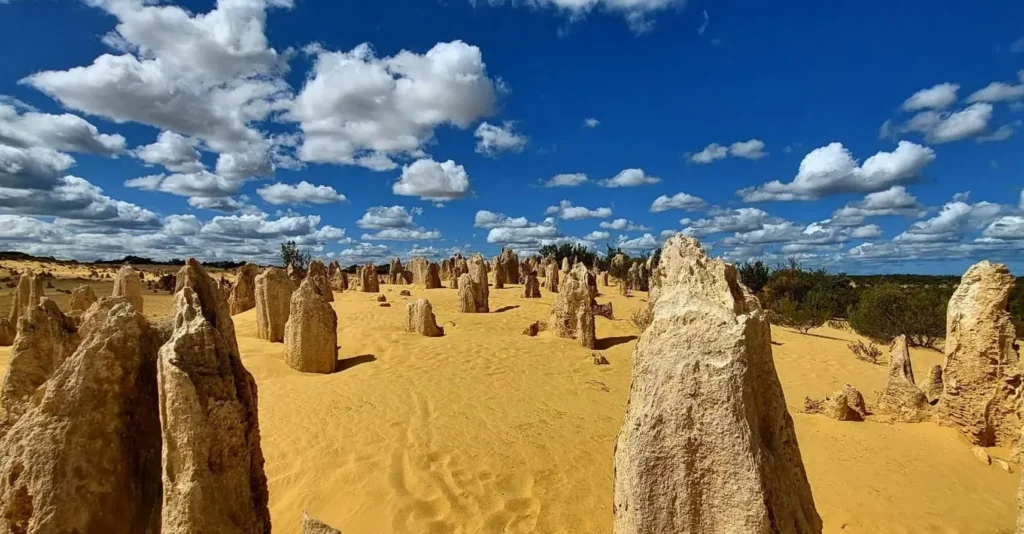 Pinnacles Desert Discovery Centre