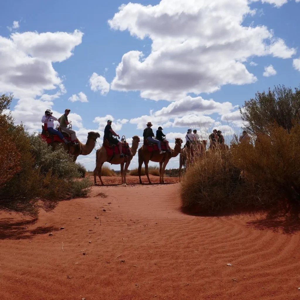 Uluru Camel