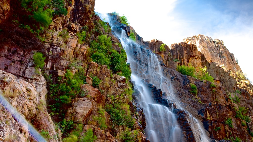 Discover the beauty of Kakadu with a 4-day Darwin to Kakadu adventure