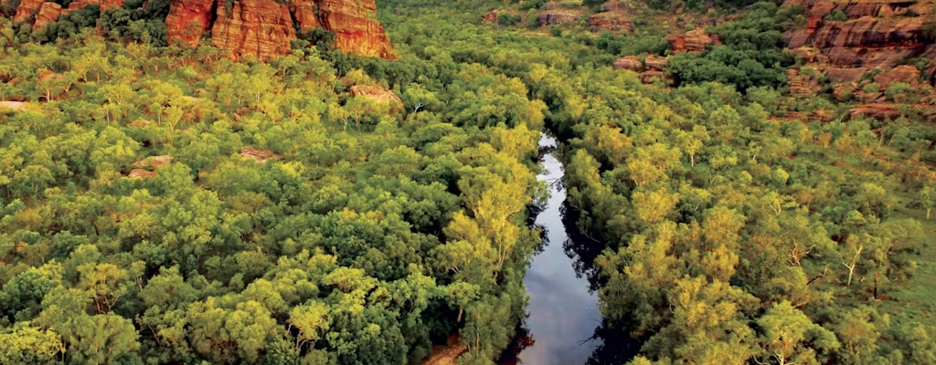 Discover Kakadu's Wonders with a 3-Day Tour