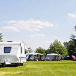 Pet-Friendly Caravan Parks on the Mornington Peninsula | Holiday with Pets