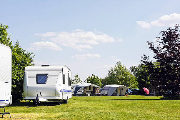 Pet-Friendly Caravan Parks on the Mornington Peninsula | Holiday with Pets