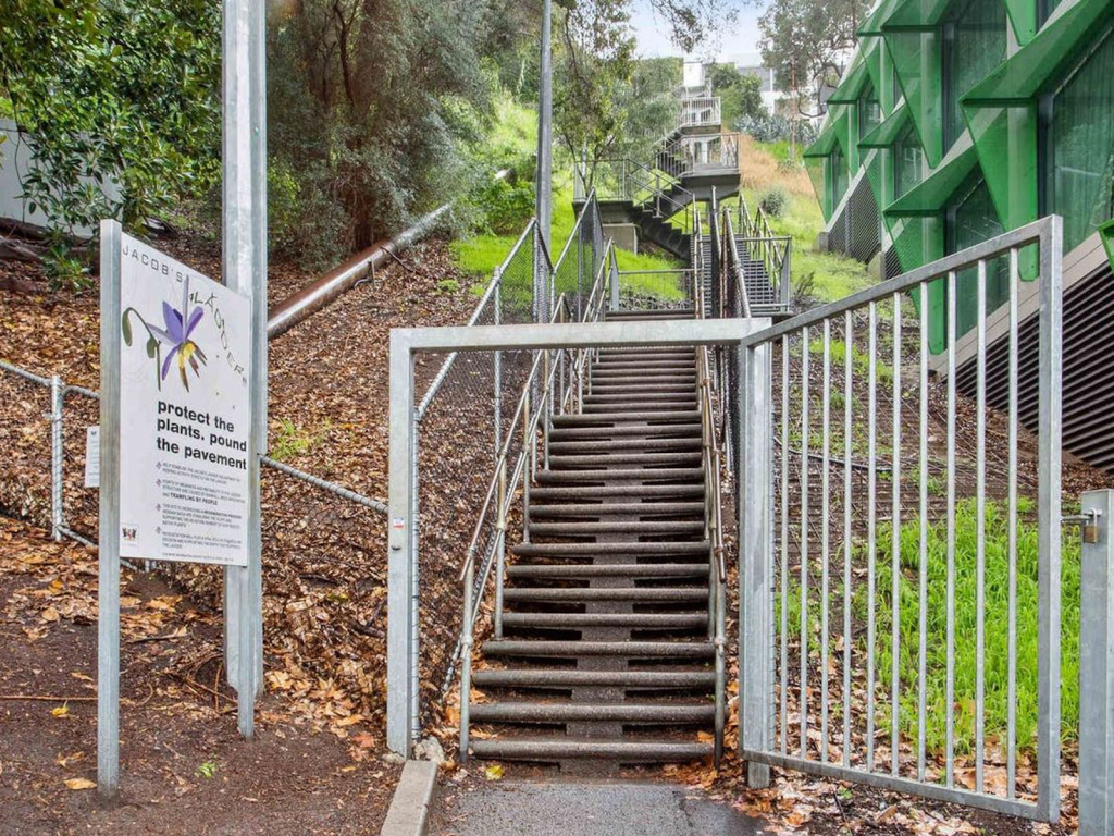 Conquer Jacob’s Ladder in Kings Park for Scenic Views & Fitness Challenge