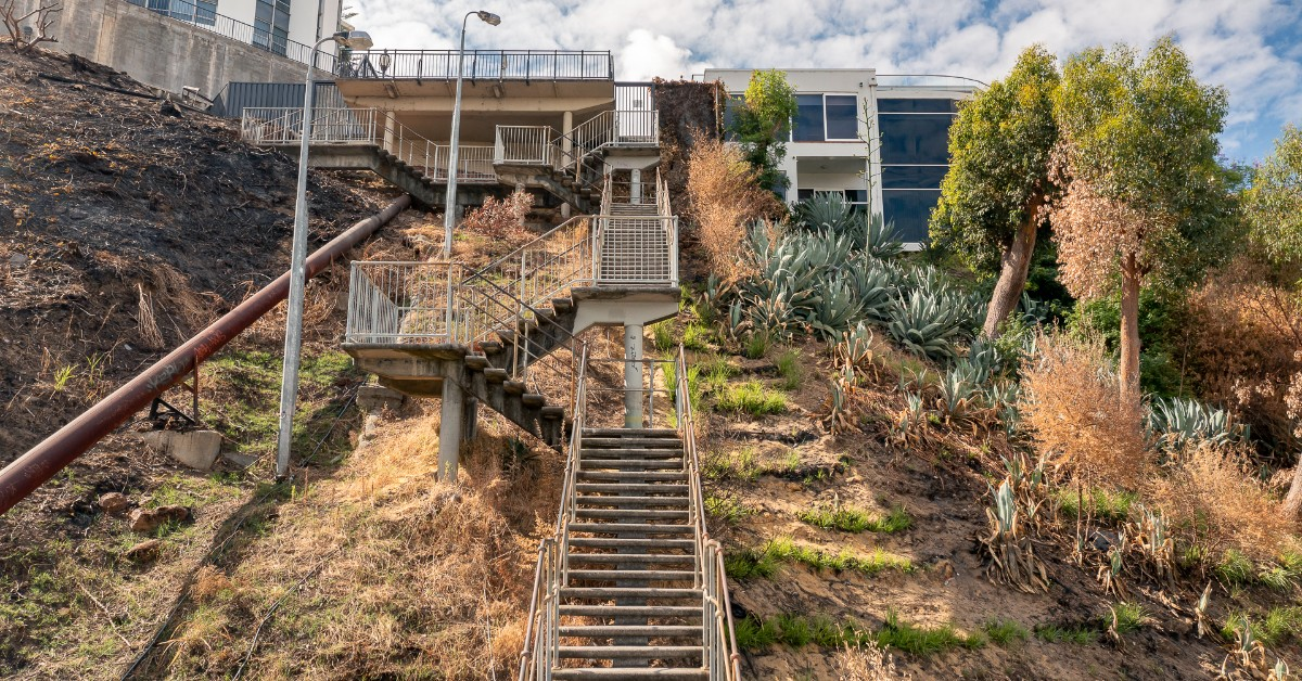 Ascend to New Heights at the Kings Park Jacobs Ladder