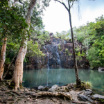 Cedar Creek Falls: Your Ultimate Guide to Visiting from Airlie Beach