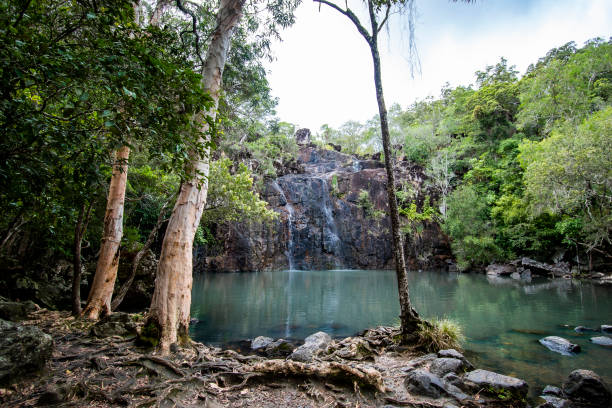 Cedar Creek Falls: Your Ultimate Guide to Visiting from Airlie Beach