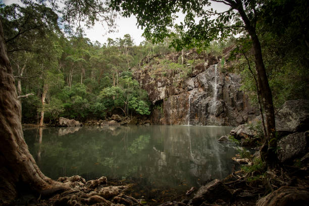 How to Reach Cedar Creek Falls from Airlie Beach: A Comprehensive Guide